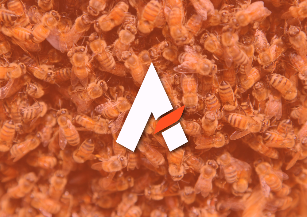 Aurora: Impulsando la era de la Inteligencia Colectiva